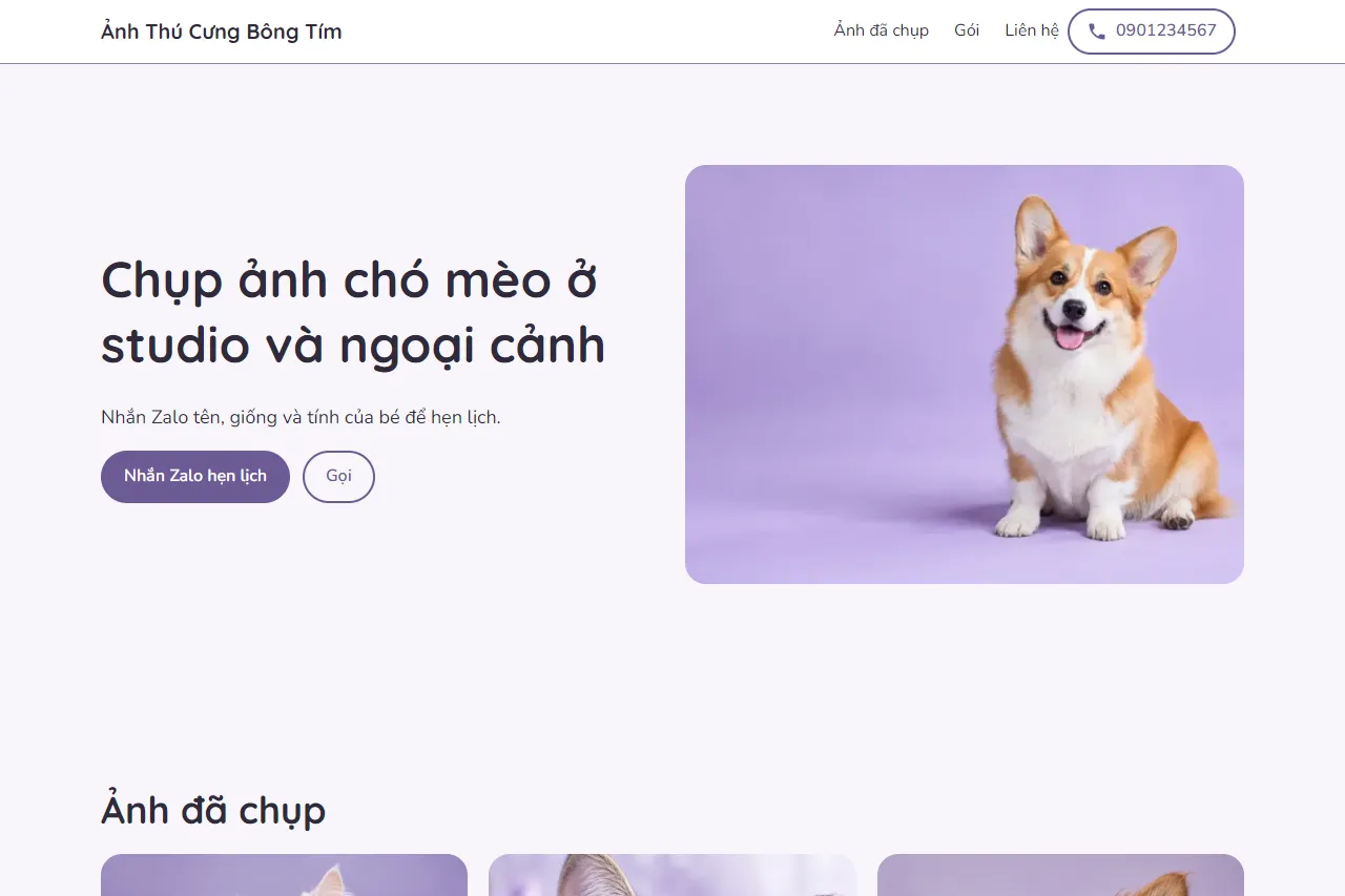 Mẫu Chụp ảnh thú cưng trên máy tính